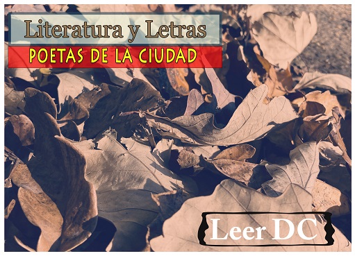 Literatura y Letras / Leer DC